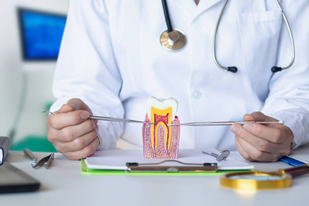 Best Weekend Emergency Dentist in Burgin, KY